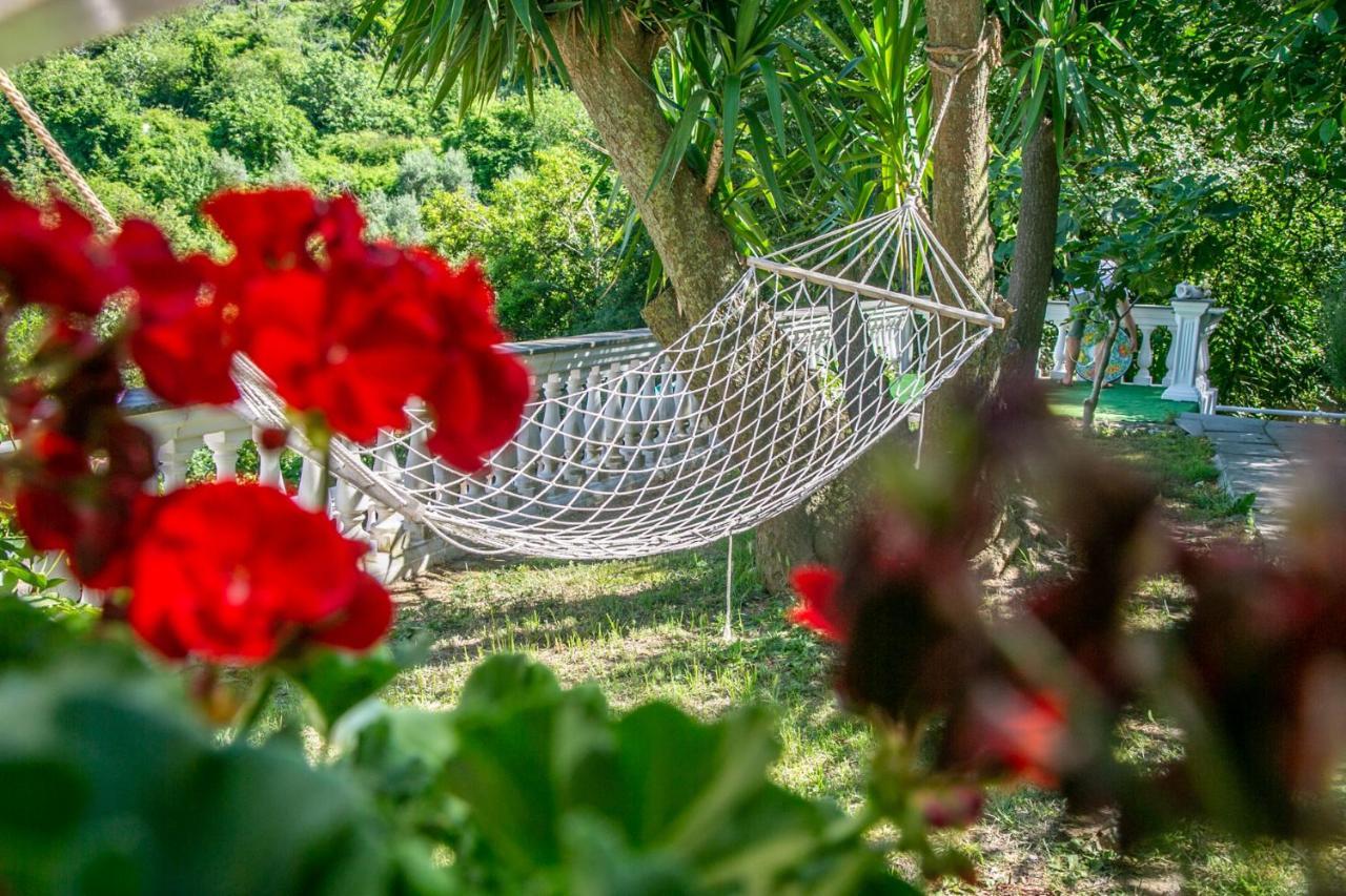 Villa Costanza Sorrento B&B Sant'Agnello Exterior photo