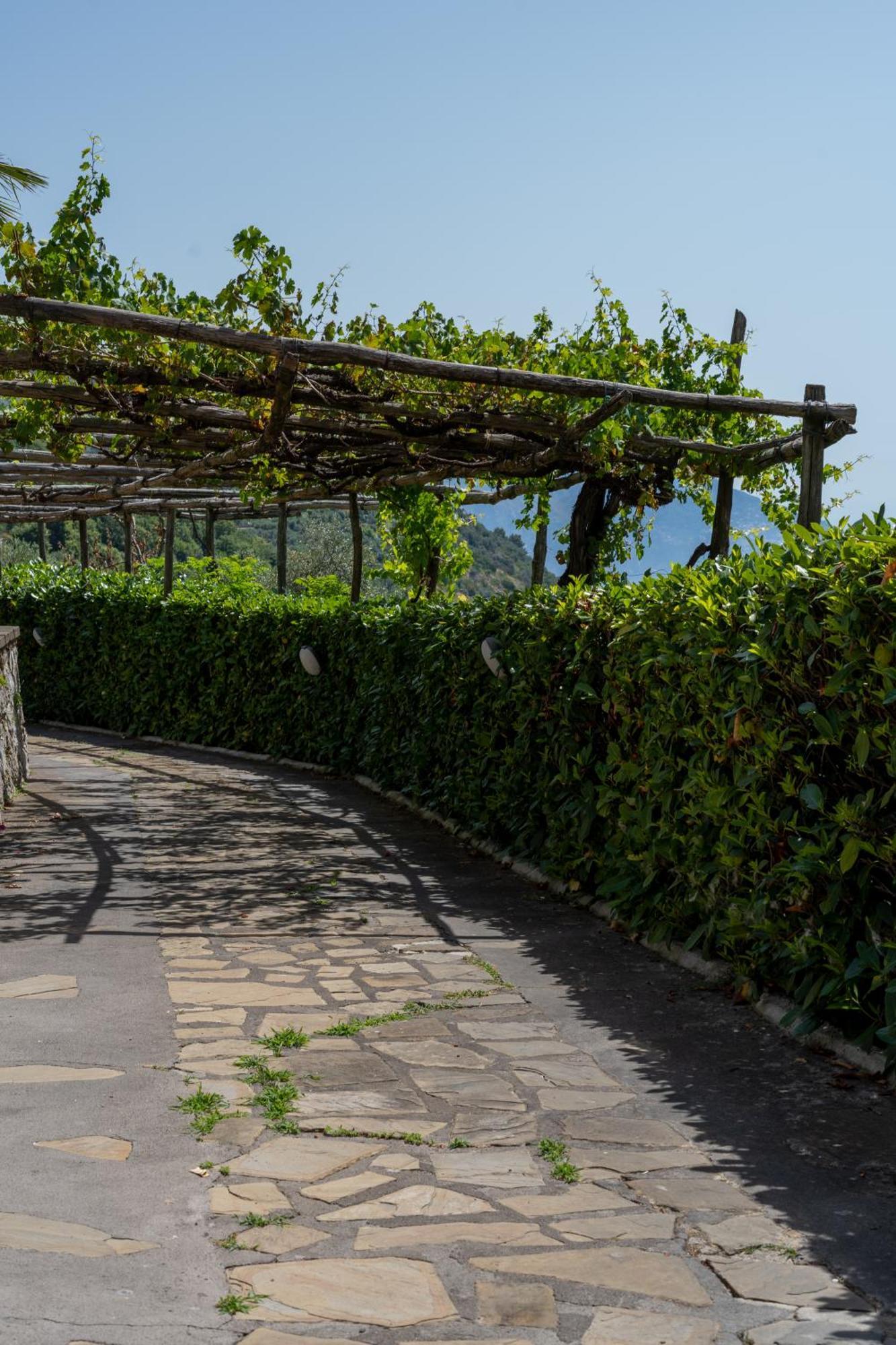 Villa Costanza Sorrento B&B Sant'Agnello Exterior photo